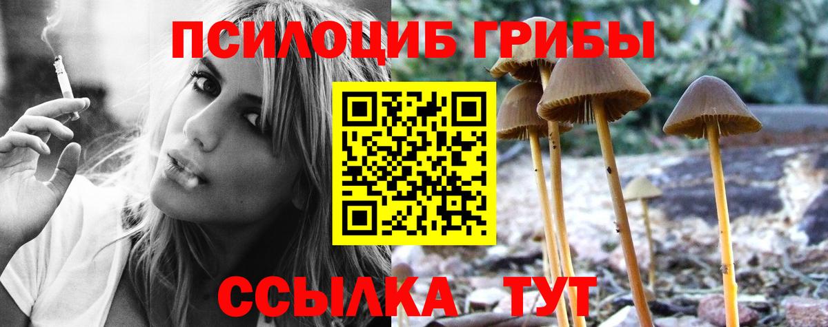 Галлюциногенные грибы GOLDEN TEACHER  Вход с VPN  Ступино  Галлюциногенные грибы Magic Shrooms 