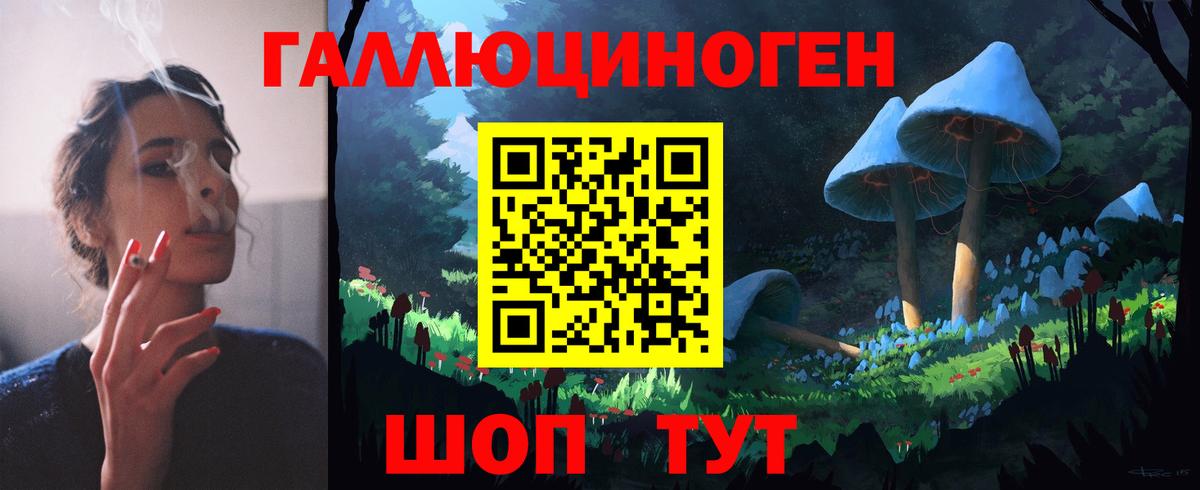 Псилоцибиновые грибы Cubensis Ступино